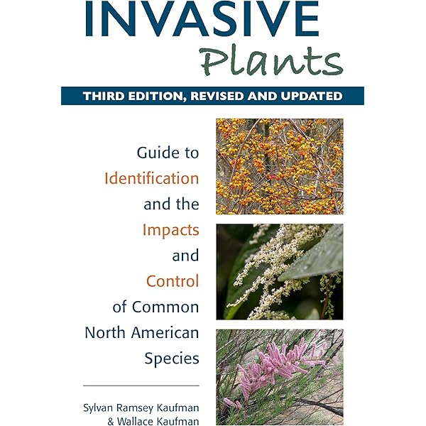 Amazon.com: Places on the Margin: Alternative Geographies of